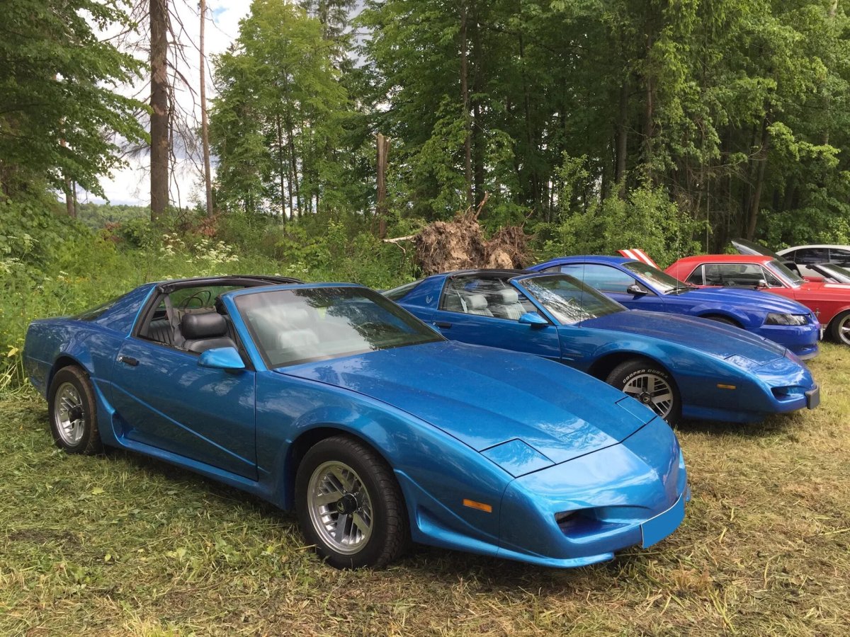 Pontiac Firebird 3 1991