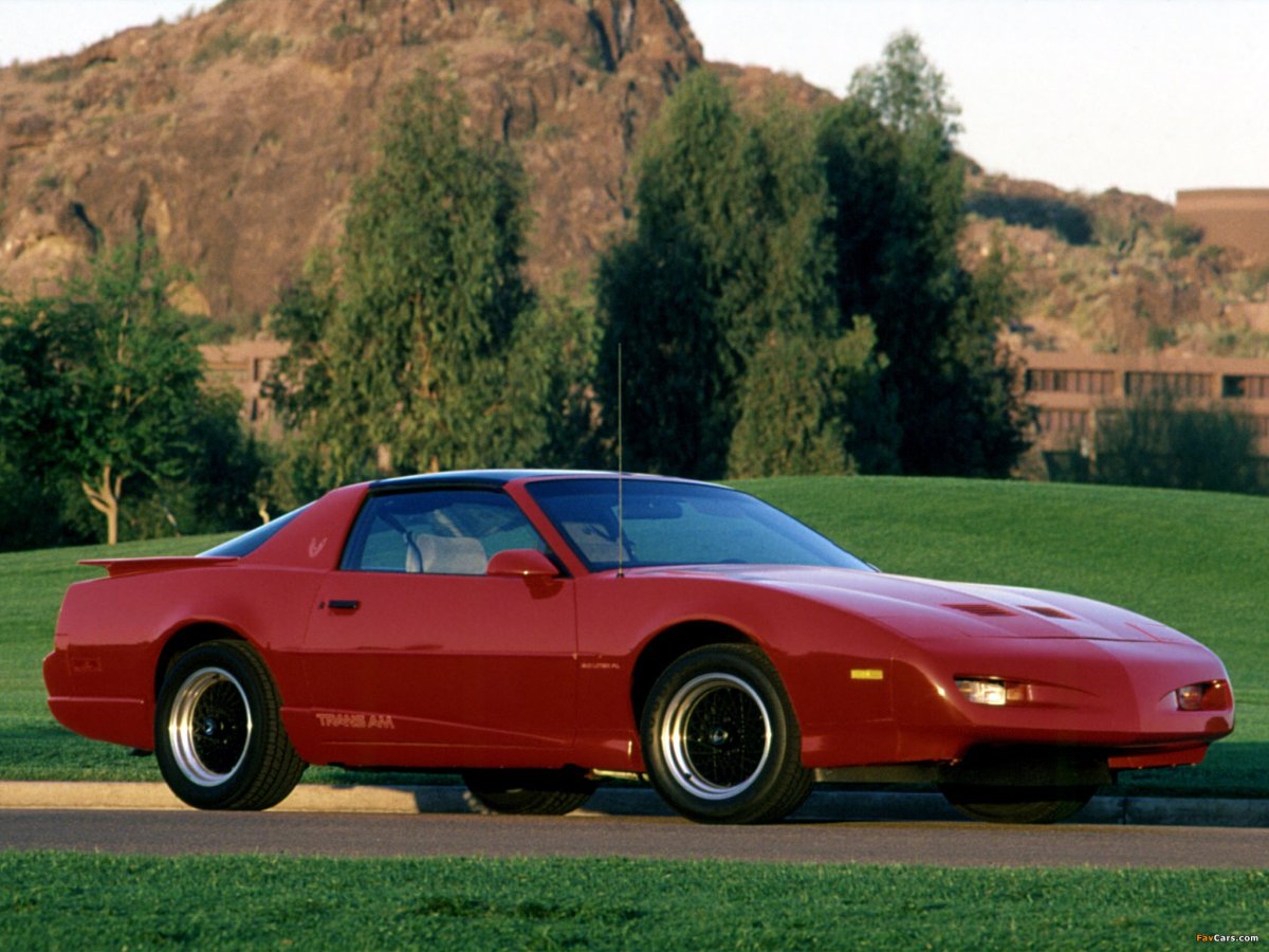 Пантиан Фаир Берд