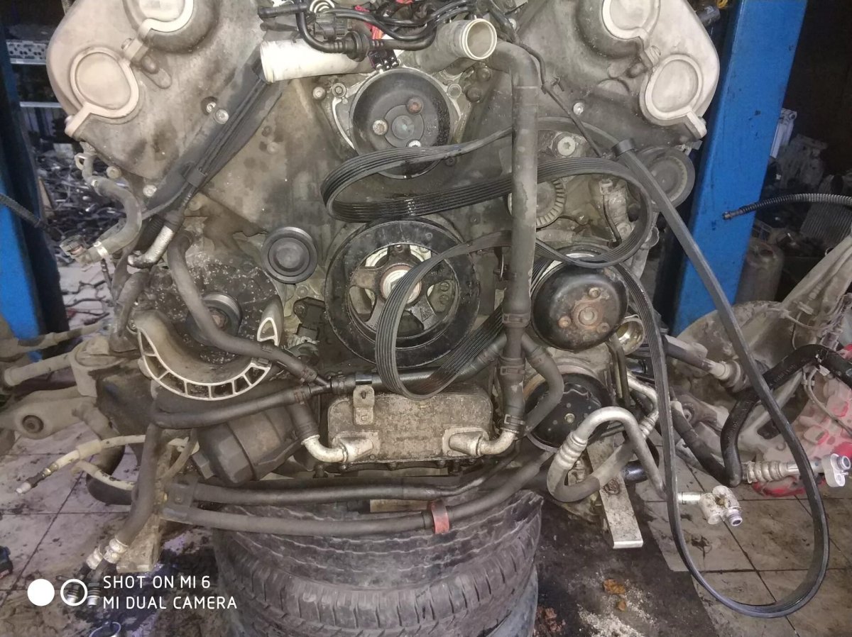 Приводной ремень Порше Кайен 4.5